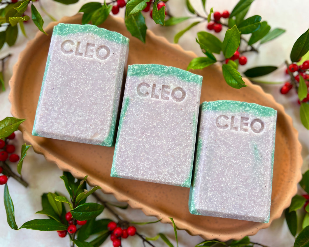 Cuddle Up - Salt Soap