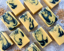 Load image into Gallery viewer, Lemon &amp; Licorice