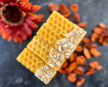 Load image into Gallery viewer, Pumpkin &amp; Oats