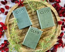 Load image into Gallery viewer, Midnight Pine