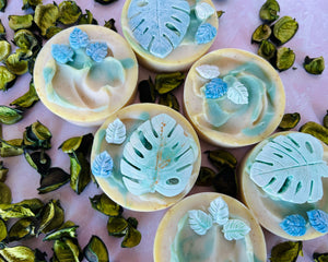 6  yellow and spring green soap rounds with montesera soap embeds on top. Each bar also has ground apricot seeds in it to help with exfoliation. 