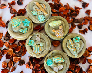6 rustic looking soap rounds with cactus and flower embeds in the center of each bar. 